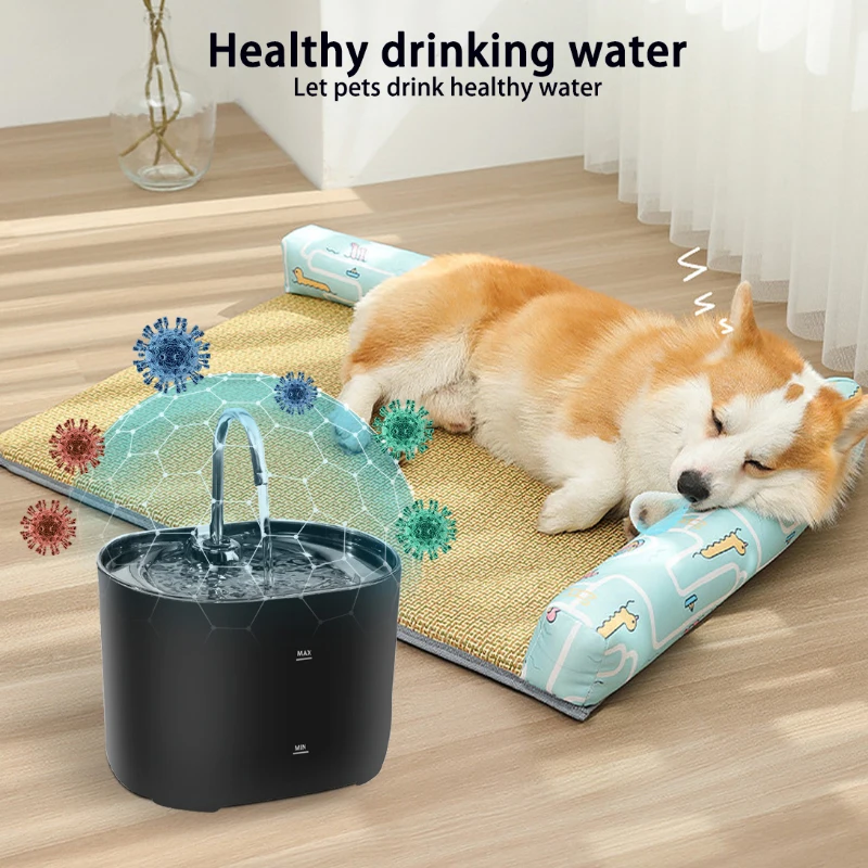 A corgi sleeps by a KittyNook Cat Co. Automatic Filter Fountain with illustrated germs and "Healthy drinking water.