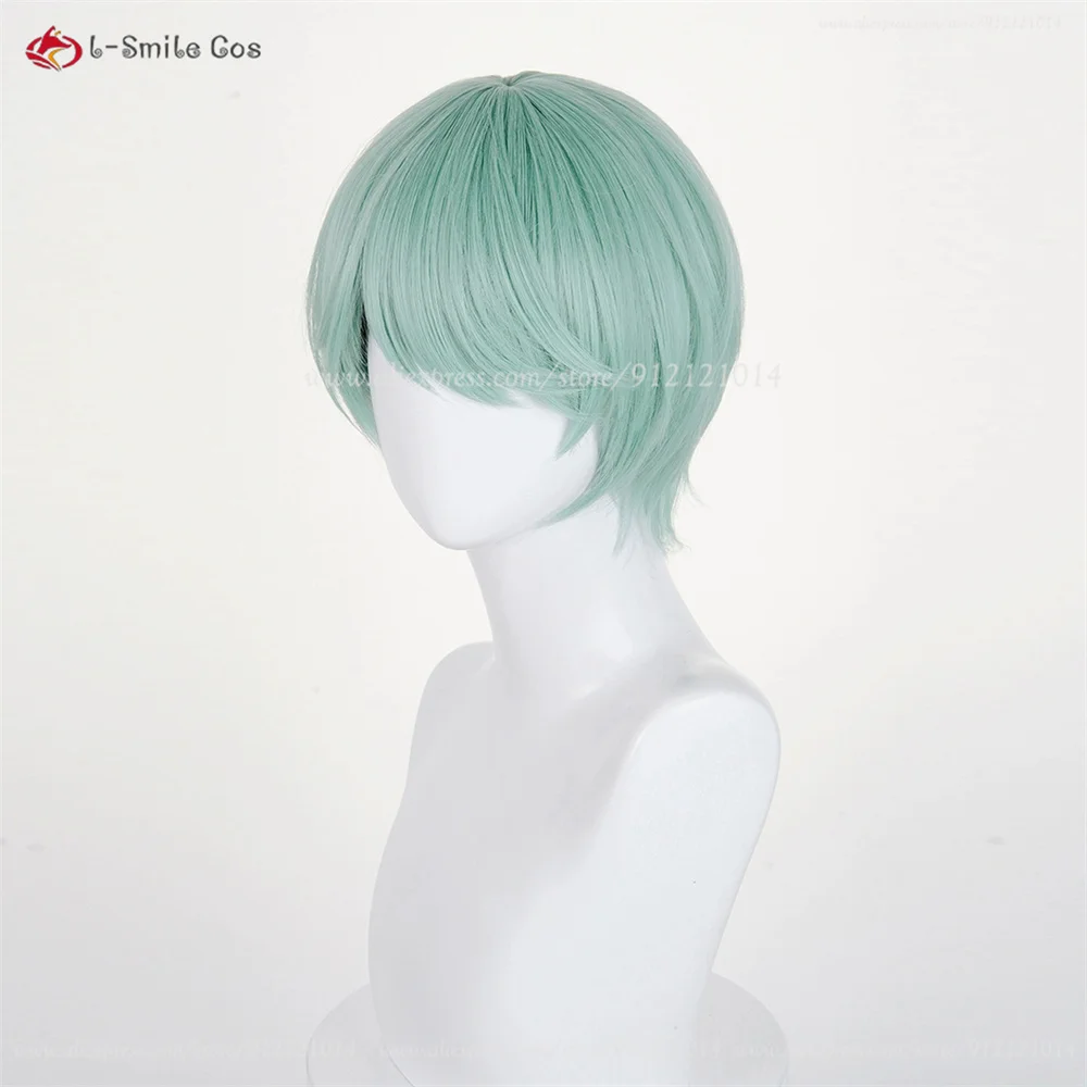 Anime Cosplay Wig Image 19