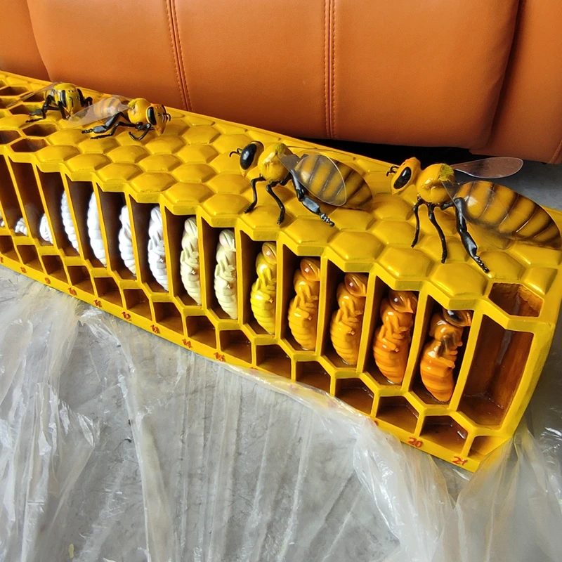 Large Bee Life Cycle Mold Beekeeping Education Teaching Mold, GFRP Glass Fiber Reinforced Plastics Material Bee Life Mold 3