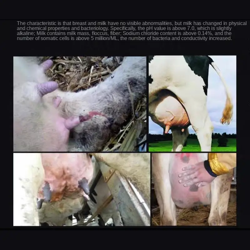 맞춤형 자가염증성 소 가슴염 감지기, 가축 가슴염 검사기, 임상외 가슴염 신속 진단기, 소 농장용 NIP