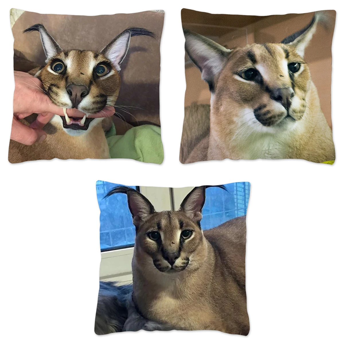 Compra online de Floppa bonito meme capa de almofada 40x40 decoração para  casa impressão 3d engraçado caracal gato lance travesseiro caso para sala  estar dupla face