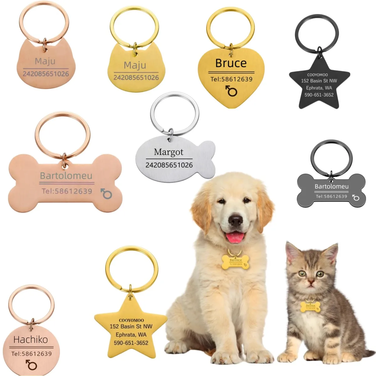 Dog Tag Dog Collar With Matching Keychain Winter Dogs Dog Breeds