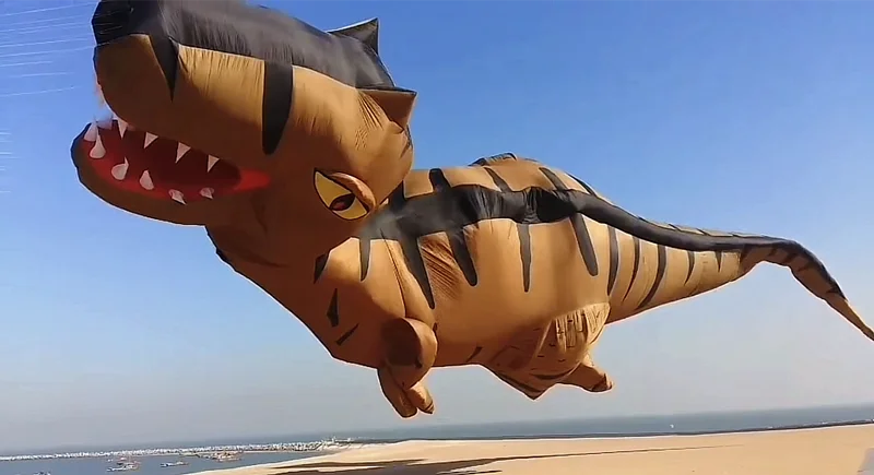 10 m großer Overlord-Drachen-Drachen, aufblasbare Spiele für Erwachsene, Cometas de Viento, professioneller Drachen, großer Papierdrachen für Erwachsene, Drachenspaß – Detail 1