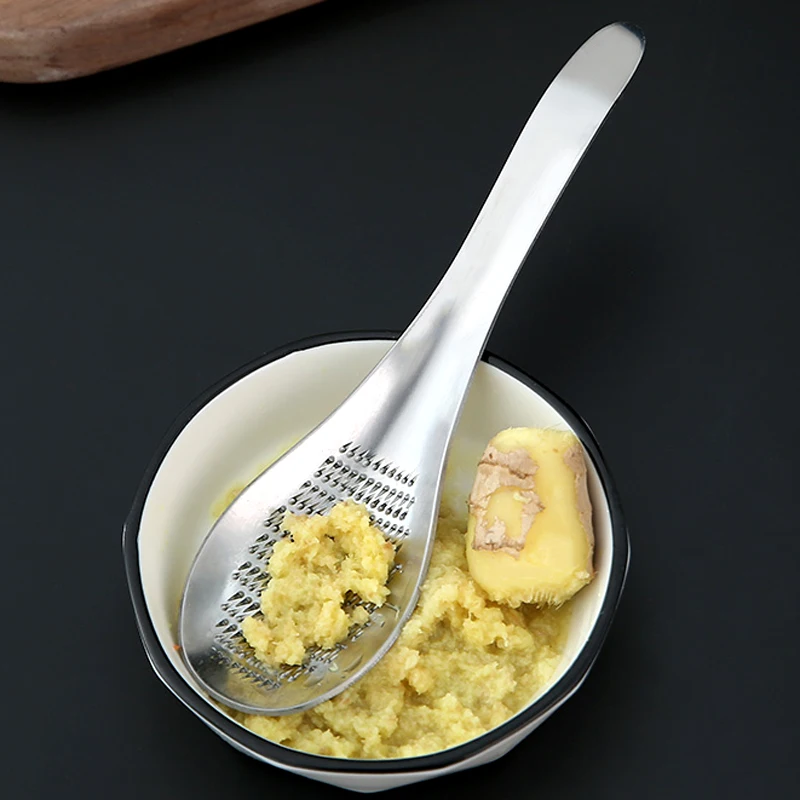 Stainless Steel Ginger Grater Spoon Garlic Wasabi Ginger Zester Mini