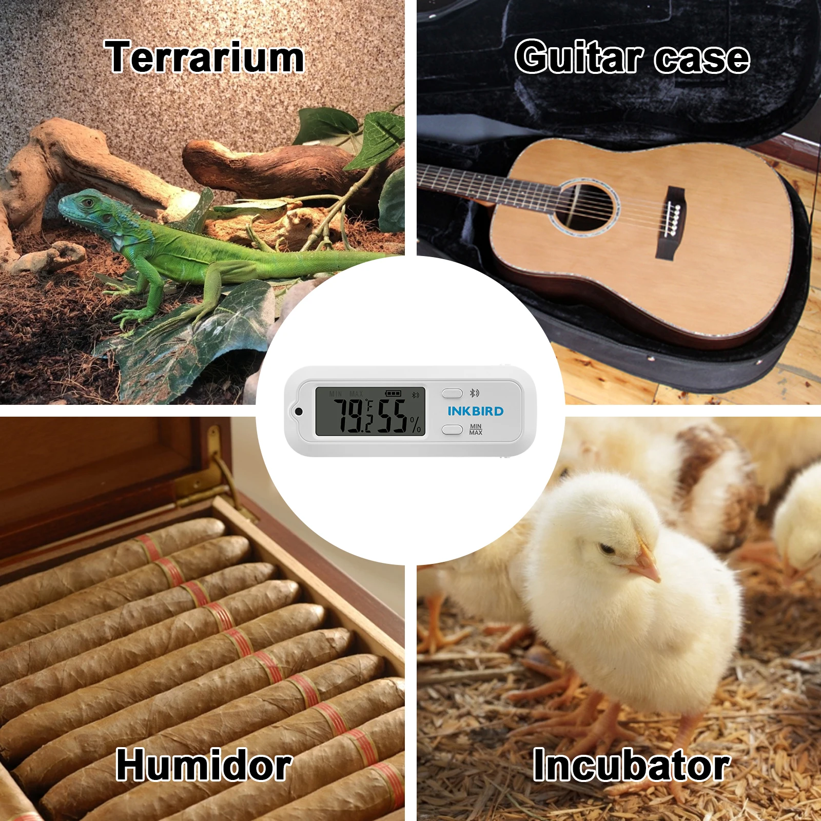 Nebulizzatore Terrario - Nebulizzatore Automatico Terrario Con App - Foto 9