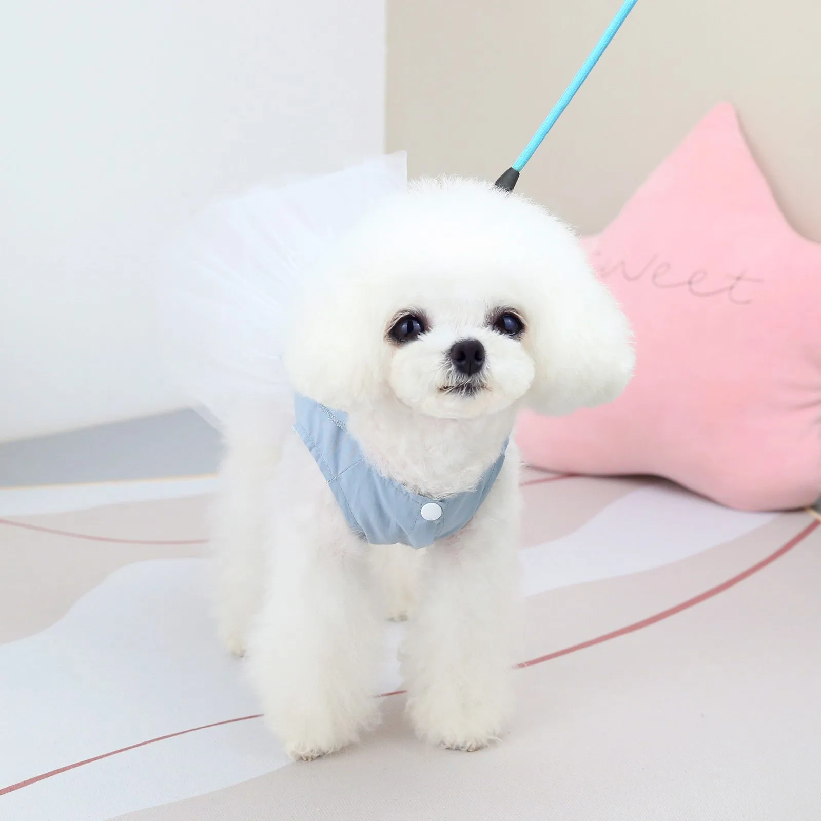 Dog Tutu Dresses For Large Dogs Girl Female Dog Dresses Size Small Pe Warm Clothes For Small Dogs Girl Shirt Medium