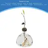 Avocado Seed Starter Vase Transparent Glass Propagation Hydroponic Flower Vase Container Gift Home Office Desktop Decors 3