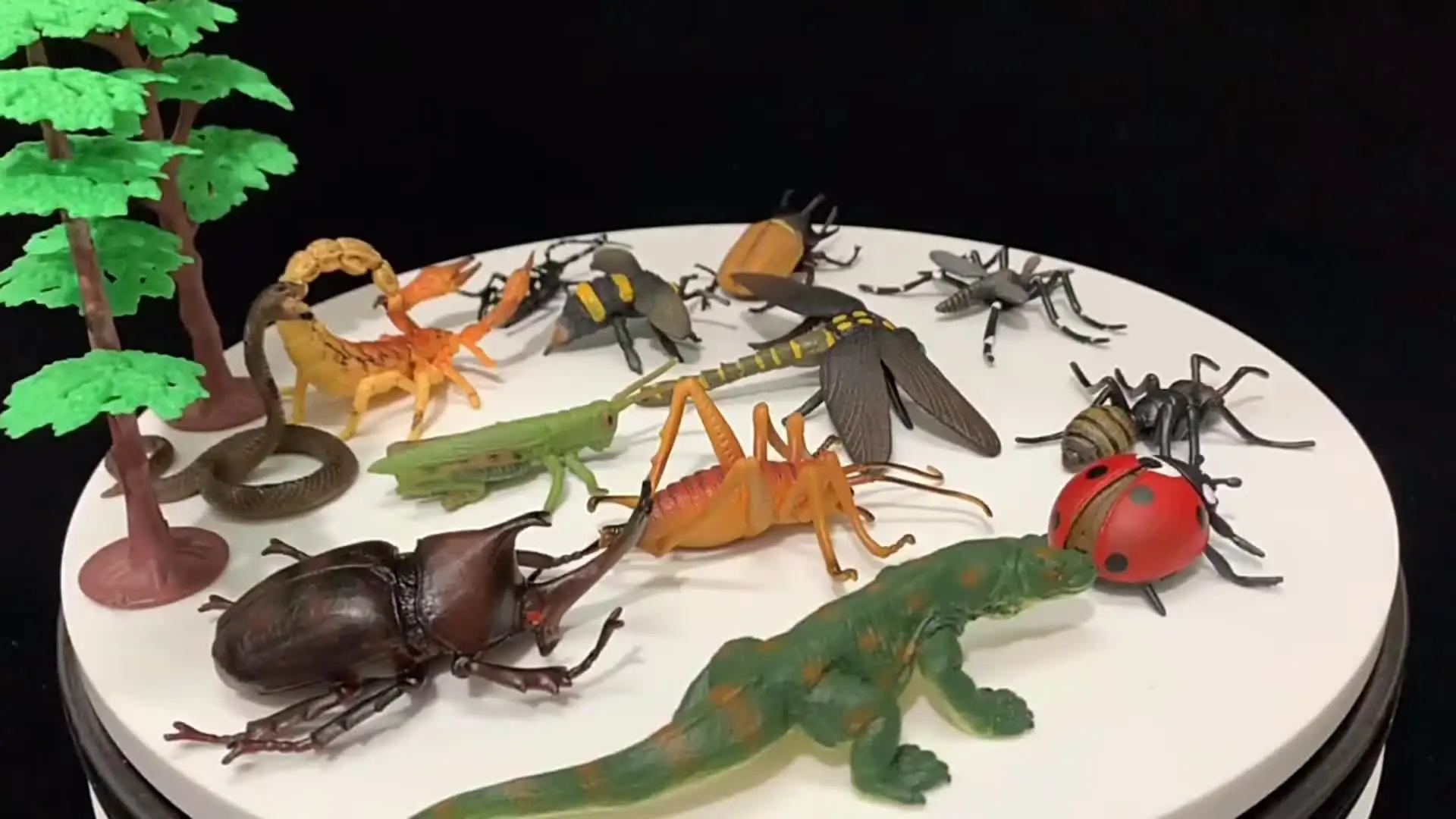 Simulazione Insetto Ragno Modello Animale Action Figures Collezione Cognizione in Miniatura Scherzo Educativo Giocattolo per Bambini Regalo di Natale  26