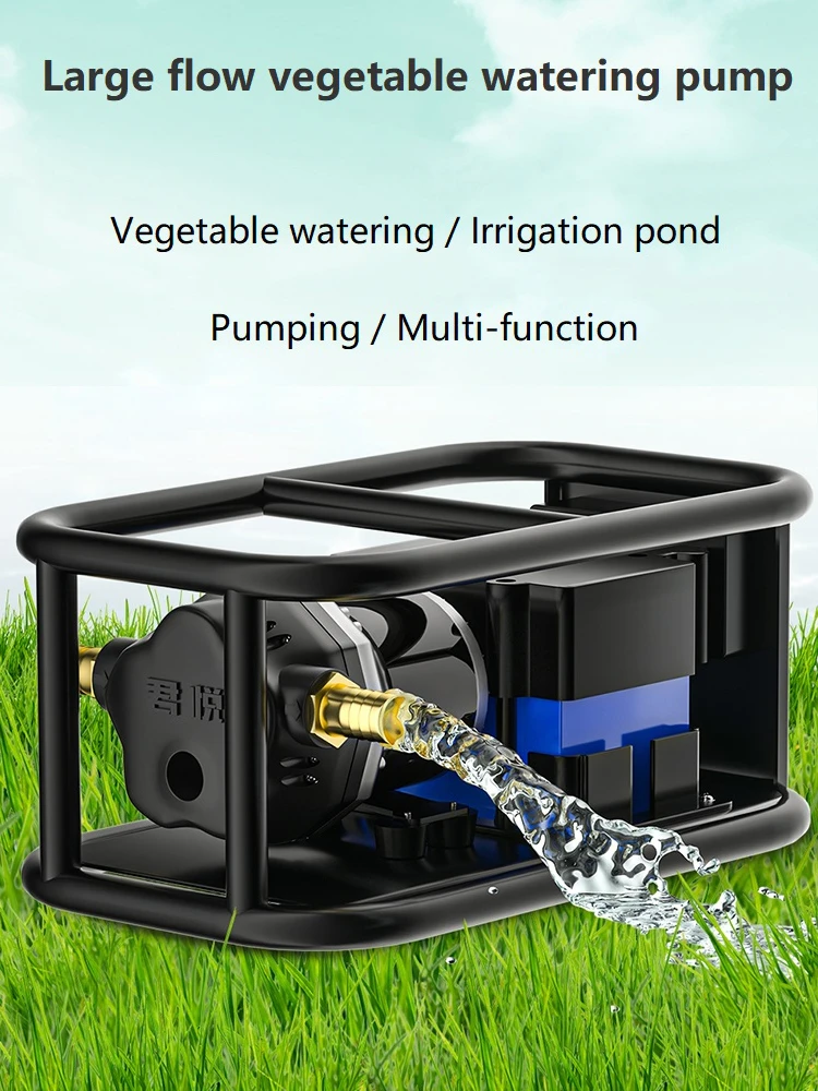 Small Portable Rechargeable Water Pump Car Wash Irrigation Spraying