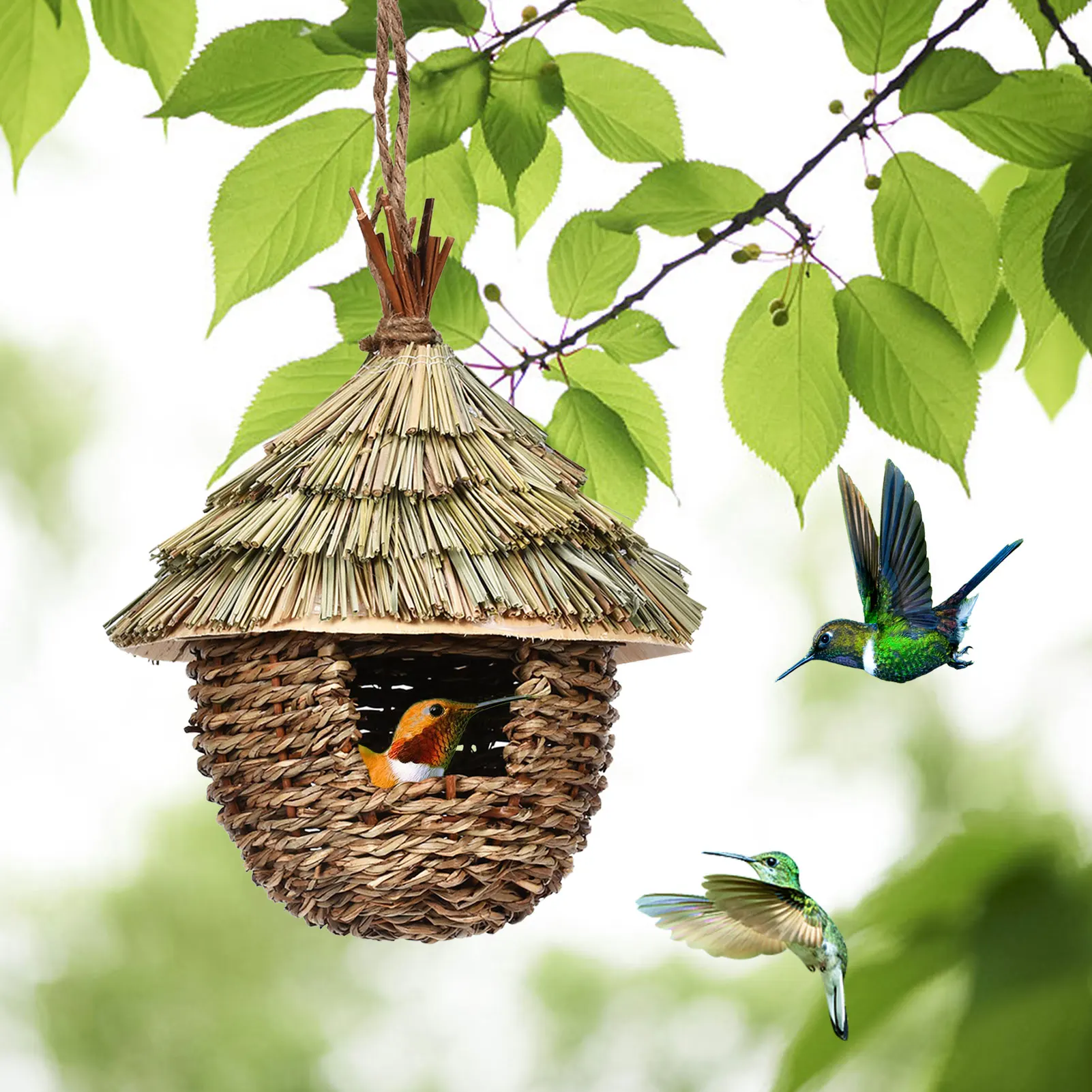 Hummingbird House Hand-woven
