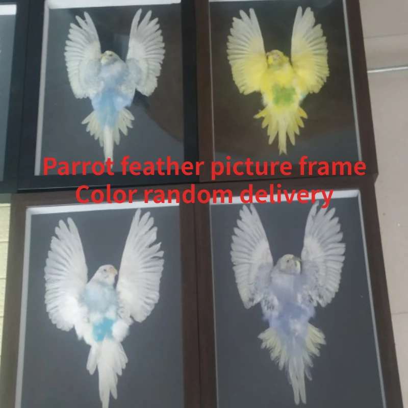 

Real parrot feather picture frame home decor living room decoration home decoration accessories gift