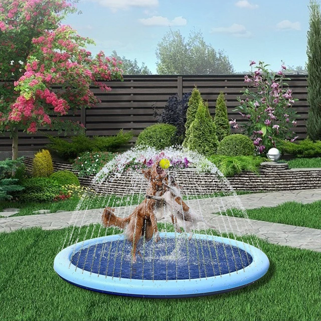 Pool Water Fountain Mat, Water Fountain Pool Dog