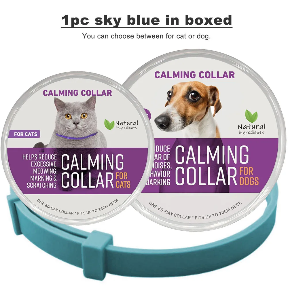 1pc SkyBlue in boxed