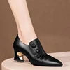 Thick Heel Fashion Shoes Women 2025 Spring and Autumn New Pointed Toe Deep Mouth Sexy Striped Fashion High Heels Women’s 1