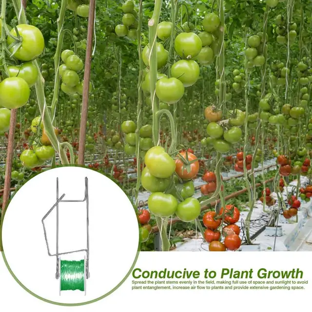 Paradicsomhörhorog 10Db Szőlőhorgok 20 Klipekkel Paradicsom Tartóhorgok 15 Méteres Zsineggel Az Üvegházhatású Kert Hegymászáshoz - Image 5