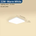 22W Warm White