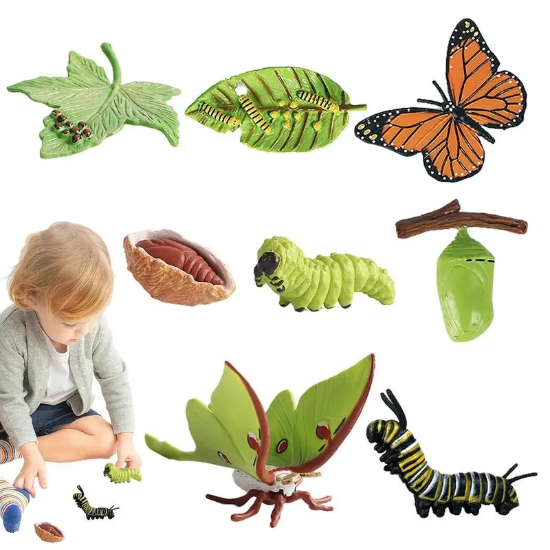 

Butterfly Growth Cycle 8PCS Realistic Farm Animal Growth Model Figure Biological Model Butterfly Growing Kit Butterfly Life