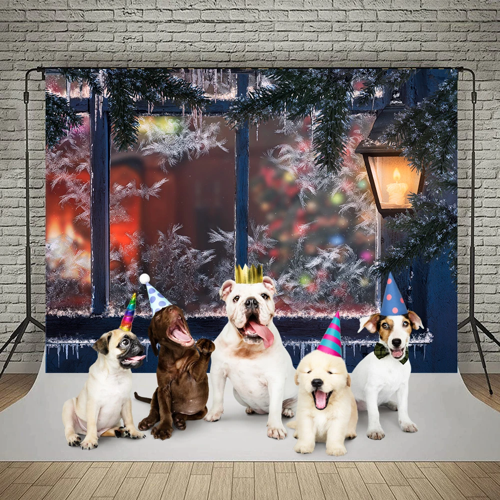 Bonvvie ũ   Photocall â Ʈ   ʻȭ Ƽ  ,   Ʃ