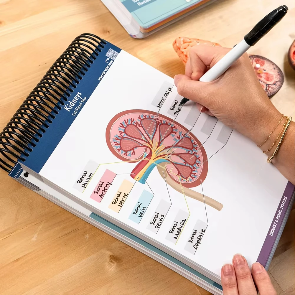 100+ Detailed Anatomy Illustrations Book 4