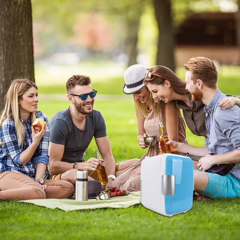 Mini Fridge Mini Portable Fridge Skincare Portable Small Refrigerator Cooler And Warmer For Cosmetics Foods 12V