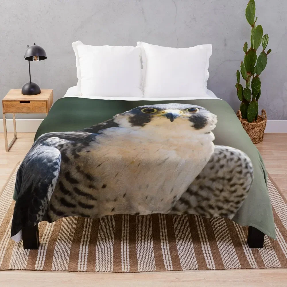 

Peregrine falcon Throw Blanket Weighted Bed covers Sleeping Bag Blankets