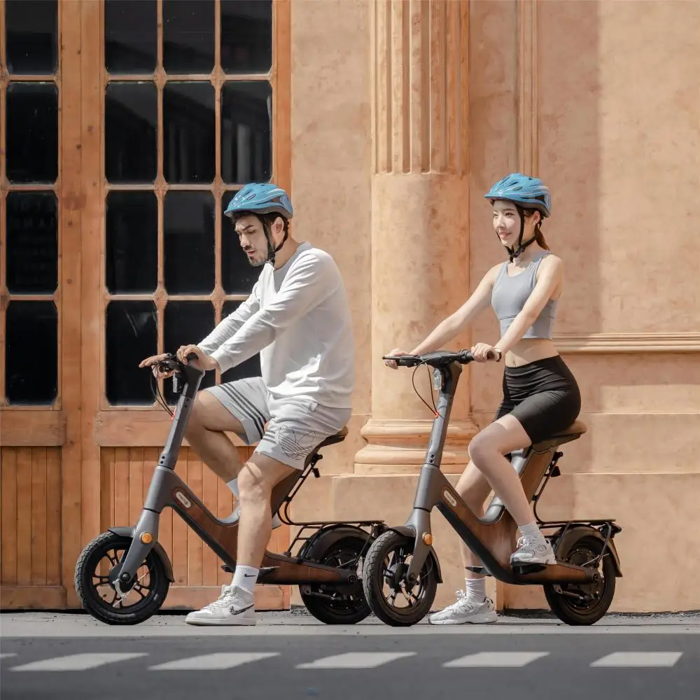 D50 500W 25km/h Mobility Scooter High Quality Hot Sale Adult Folded Electric Motorcycle Pure Electric Moped scooter rental
