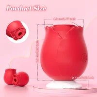 10-Gang-Rosenvibrator, G-Punkt-Dildo, vaginales Klitoris-Saugen, Sexspielzeug für Frauen, leistungsstarker Vakuum-Vibrator, Massagegerät, USB wiederaufladbar 6