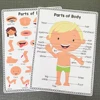 2 PCS English Body Parts Big Card  Early Education for Children Learning Materials Teaching Aids Classroom Wall Decoration 2