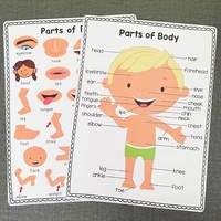 2 PCS English Body Parts Big Card  Early Education for Children Learning Materials Teaching Aids Classroom Wall Decoration 2