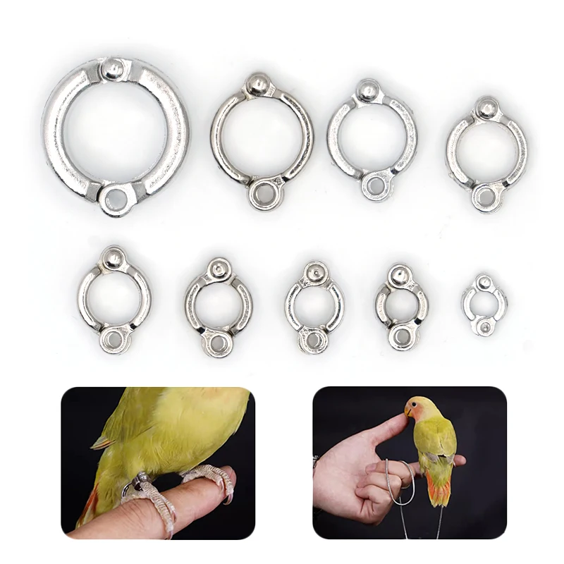 

4-15mm Parrot Foot Rings Metal Pet Bird Leg Rings Outdoor Fly Training Activity Anti-Lost Opening Clip Birds Accessories