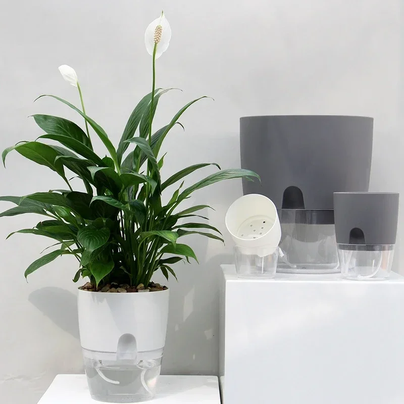 Transparent Self-Watering Hydroponic Flower Pot with Double-Layer Design and Cotton Rope System
