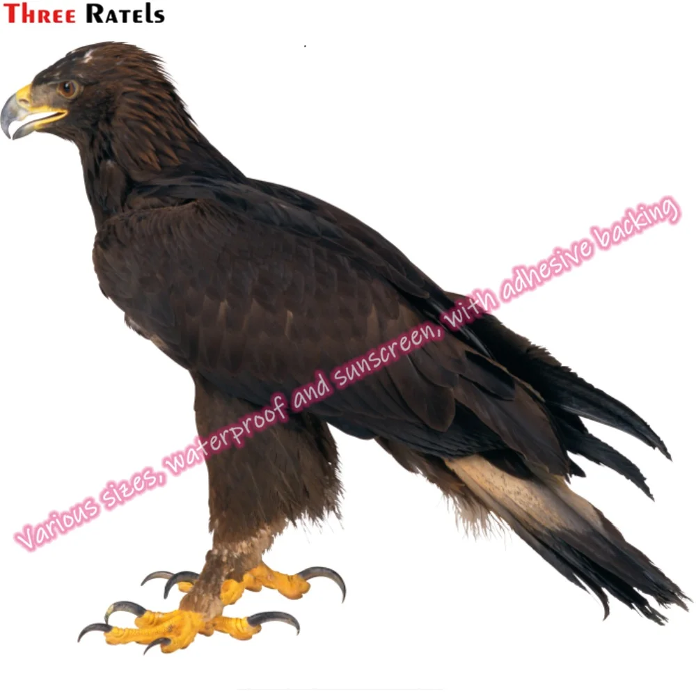 Рисунок 3 - Наклейки Three Ratels N161