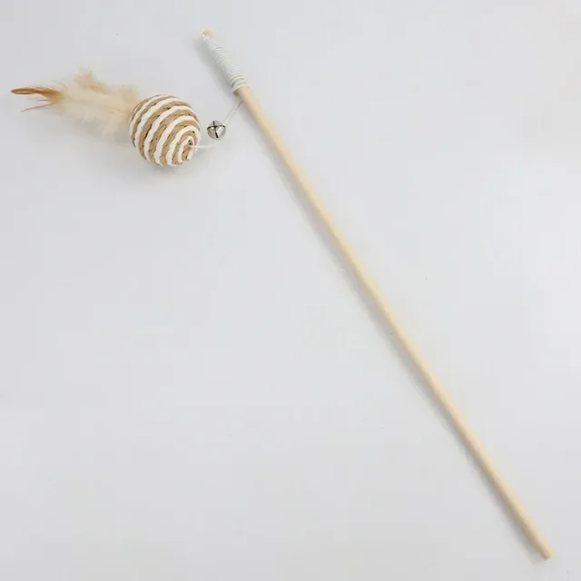 Image 13