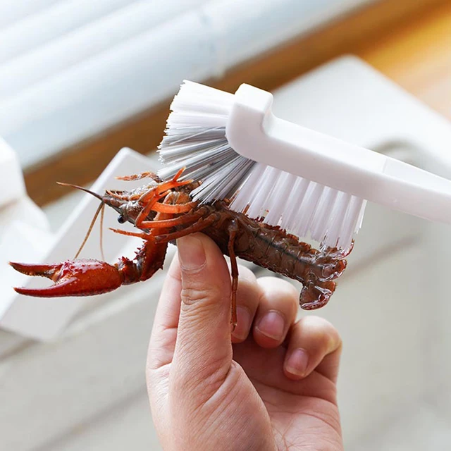 Brosses de nettoyage de cuisine pour usage domestique sur baignoire, douche, cuisine, sols de carrelage, évier, rainures, pistes de fenêtre 4