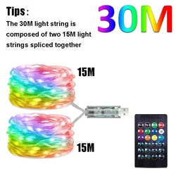 Waterproof Dreamcolor Bluetooth Smart RGB Fairy Lights (30M)