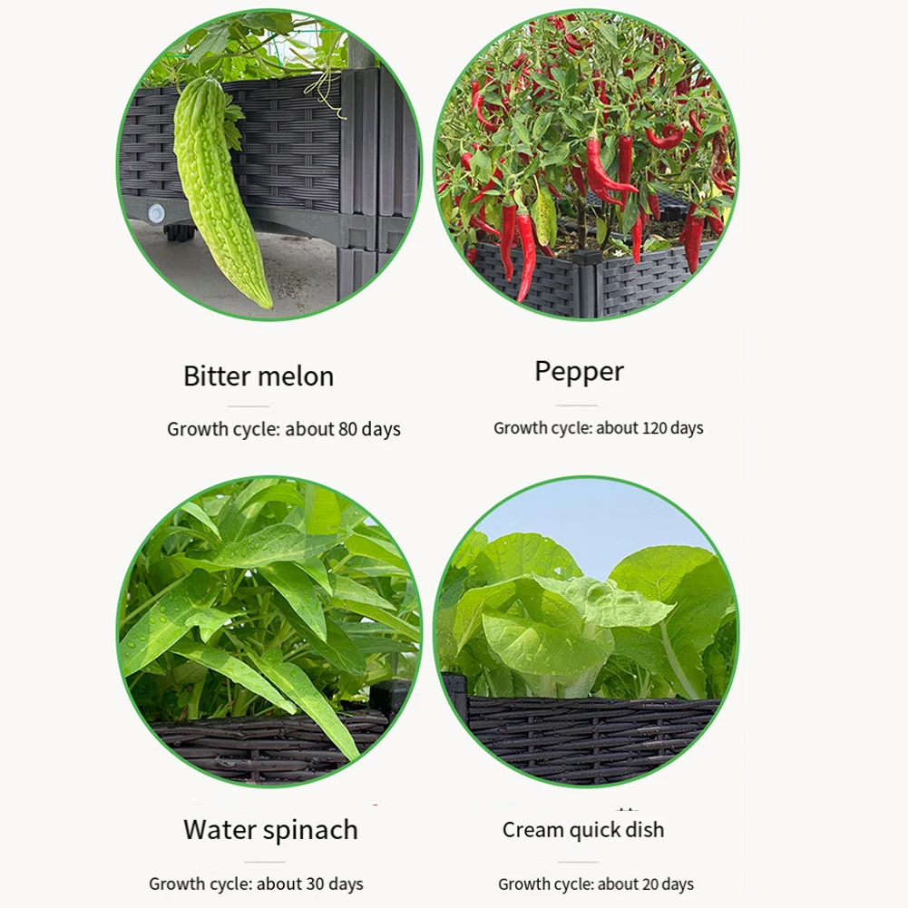 Fioriera Rialzata in Plastica con Gambe, Contenitore per Coltivazione Rialzato per Ortaggi, Frutta e Fiori - immagine 5
