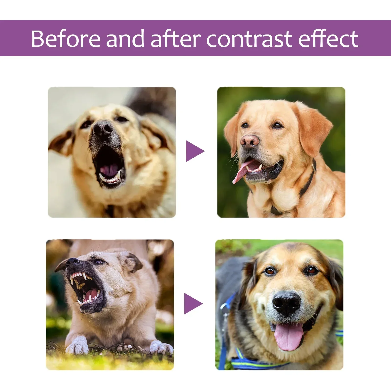 Calming Spray Cat Dogs Deterrents Stress Kitten Soothing Anti Training Calm Down Conditioning Pet Pheromone Collar Sprayer pet calming spray