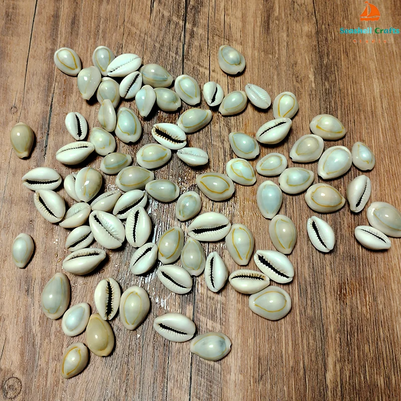 20 PCS Gold-ringer Cowrie 쉘 반지 탑 Cowrie 쉘 Monetaria Annulus 비즈 목걸이 및 팔찌, DIY 공예품