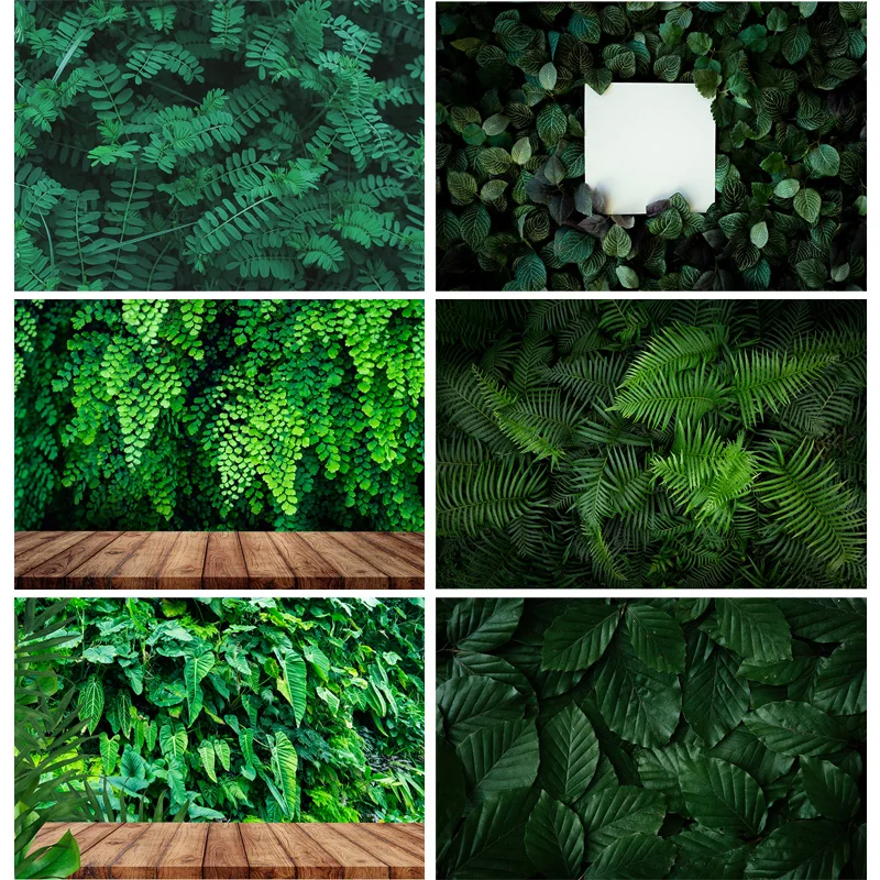 

ZHISUXI Tropical Jung Leaves Nature Scenery Photography Background Landscape Photo Backdrops Studio Props 21728 RDY-02