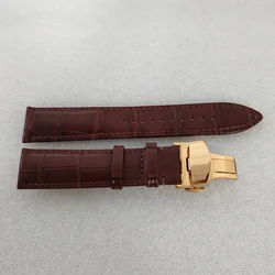 Elegant 39MM Watch Case & Genuine Leather Strap Set in Tri - Tone Finish (Brown gold band)