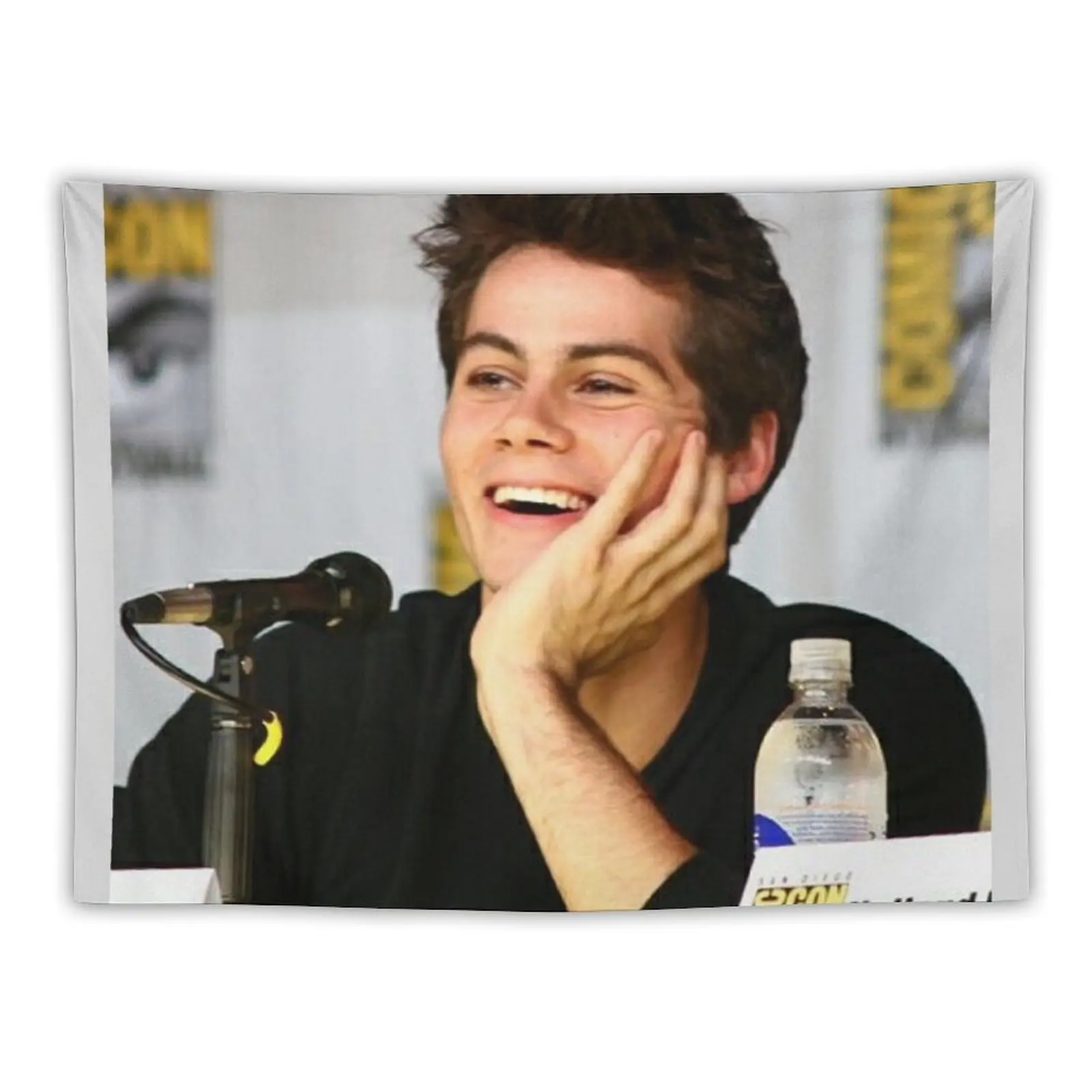 

Dylan O'Brien Tapestry Wall Decoration Items House Decoration Room Decor Tapestry