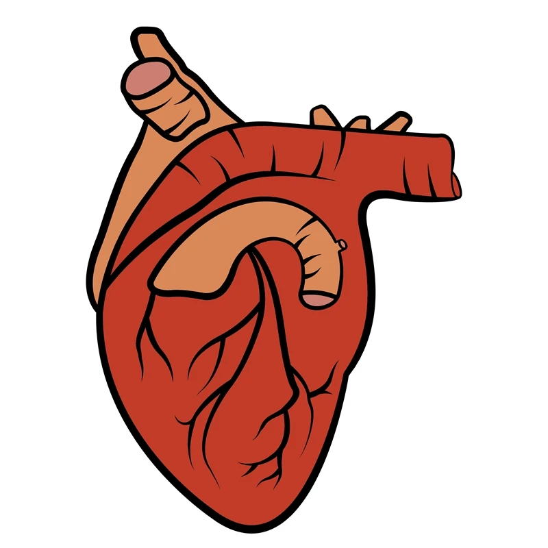 2023 Anatomical Heart Diagram Retractable Badge Reel, Telemetry Cardiology  Nurse Badge Holder, Monitor Tech Nursing