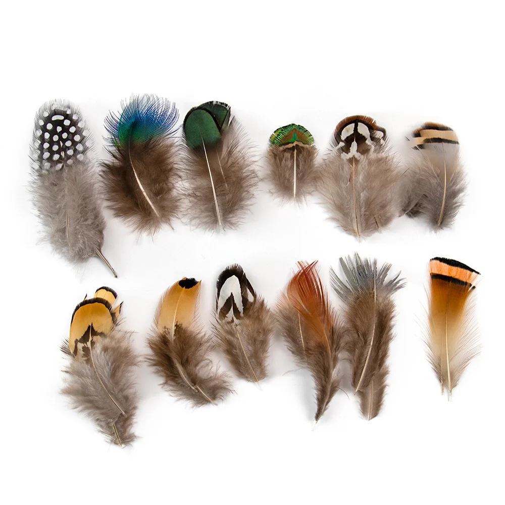 Natural Duck Pheasant Feather 100PCS Small Soft Feathers For Craft Jewelry Making Clothing Carnaval Assesoires Plumas Decoration