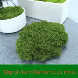 Artificial Green Moss for Home and Garden Decoration - Lifelike Mini Landscape Decor (Dark green 30g Moss)