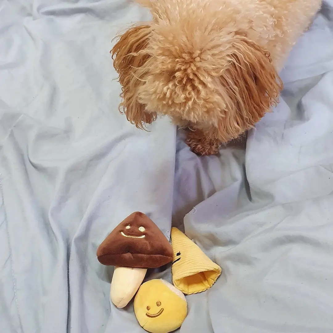 

Игрушка-пищалка из флиса с грибами, прочная игрушка для домашних животных, интерактивная игрушка для щенка, симпатичные собаки, плюшевая модная тренировочная игрушка, поставщик