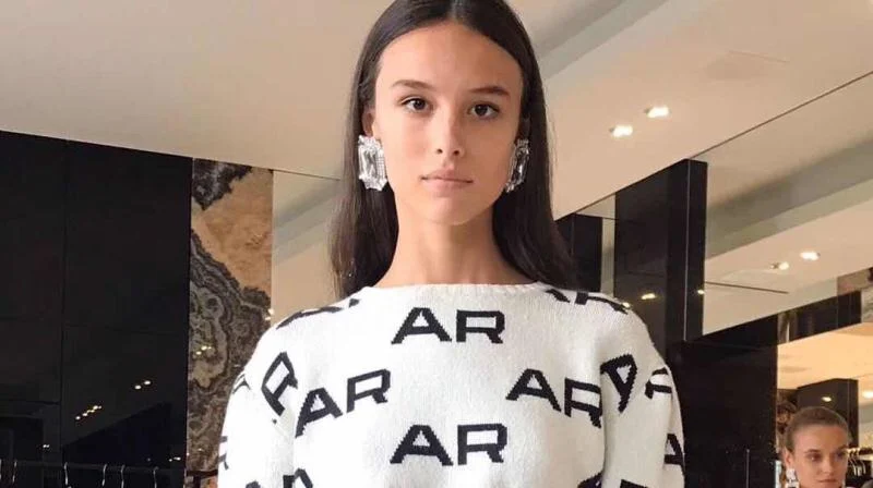 European and American popular geometric crystal ear clips