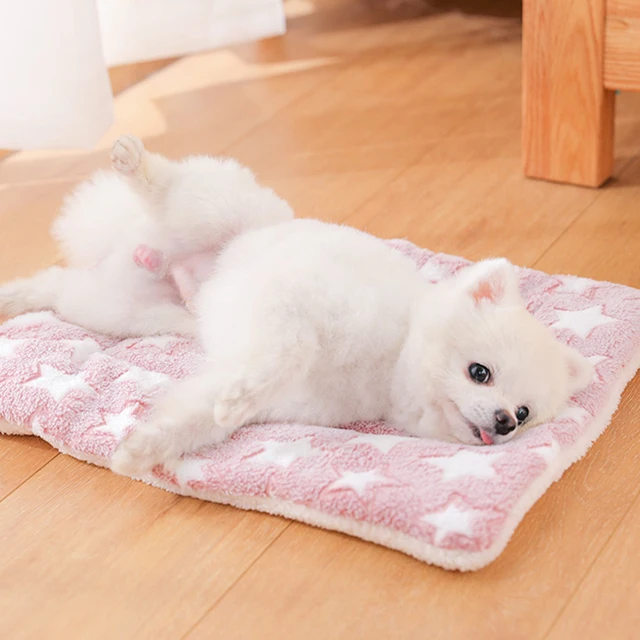 Dogs Bed Flannel Thickened Blanket Cushion Washable Dog Puppy Bed Accessories Medium Pet Large Basket Small Mat Warm Sofa Kennel 3