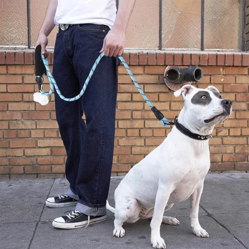 dog leash 2
