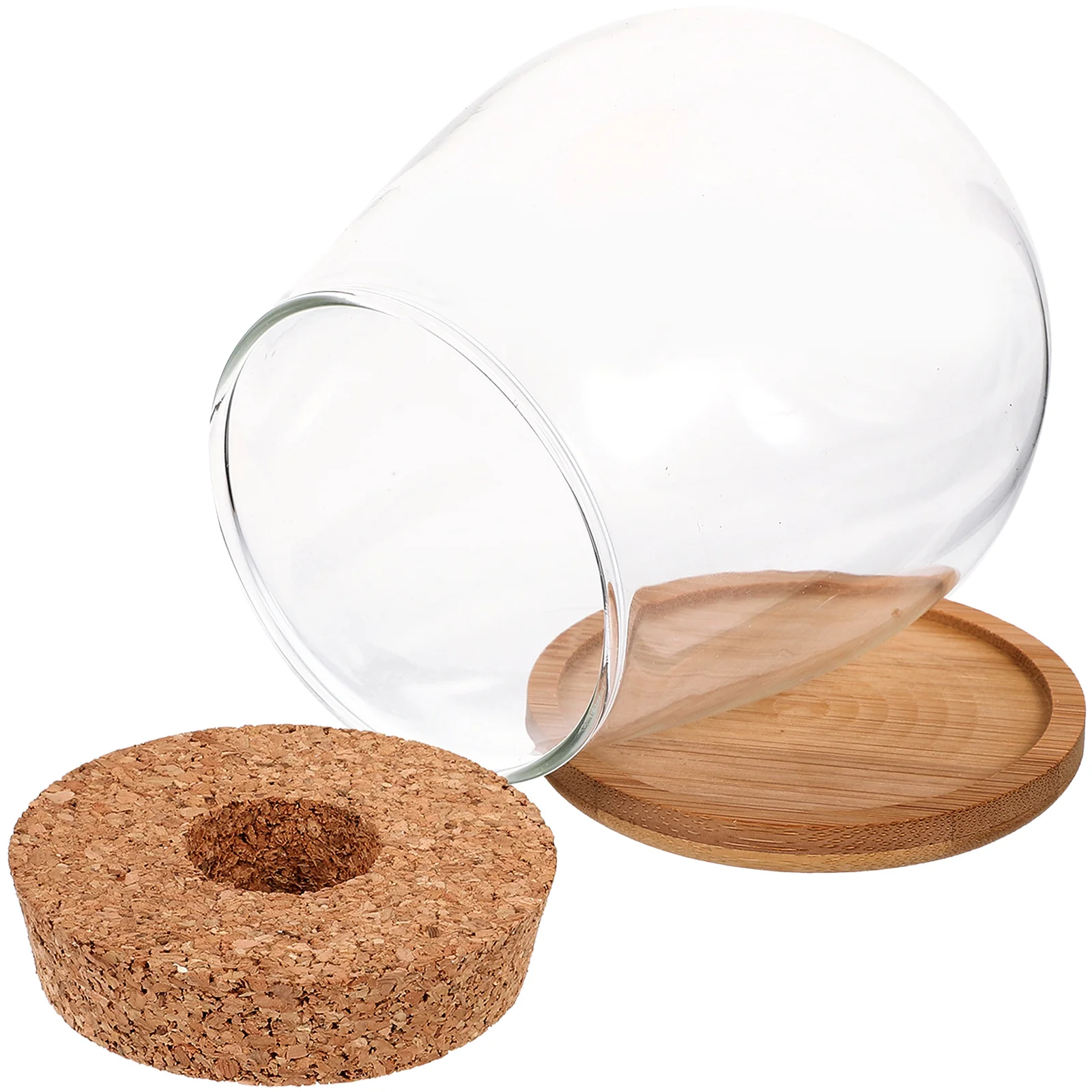 

Hydroponic Glass Vase Decorative Bottle Micro Landscape DIY Terrarium Plant Pots for Plants