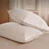 Luxury Goose Feather Pillow, Contains 50% Goose Feather, Soft, Fluffy and Breathable, Skin-friendly , Good Support, All Seasons 1